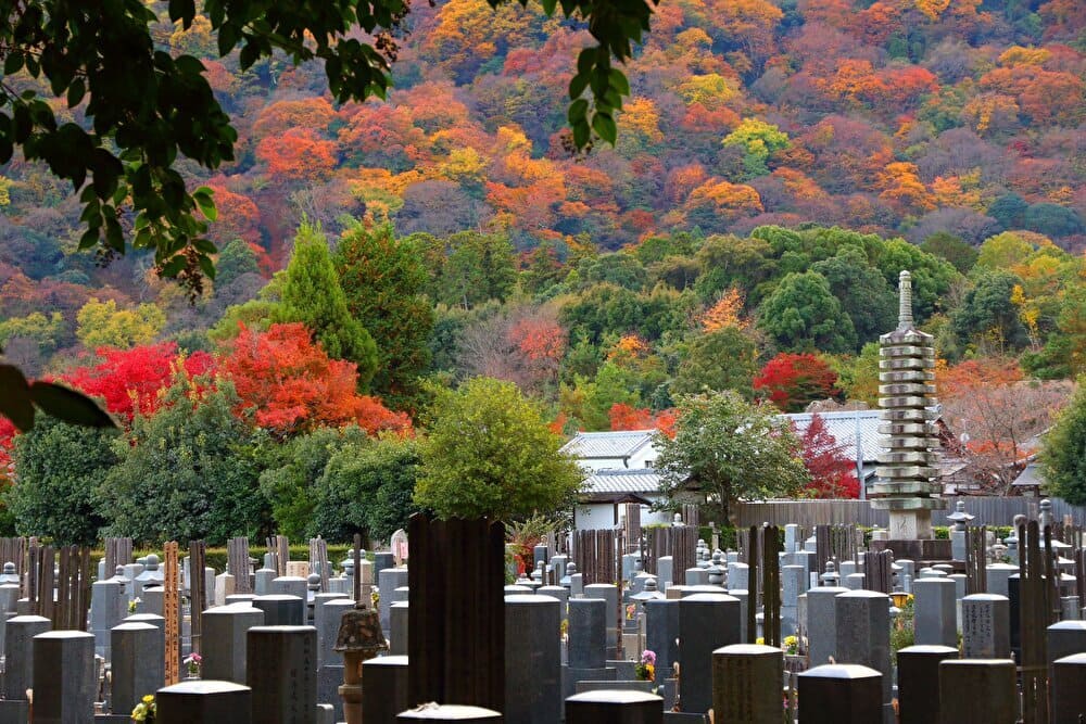 KYOTO, JAPAN - NOVEMBER 25, 2016: Cemetery in Arashiyama district of Kyoto, Japan. As of 2007 99.8 percent of Japanese were cremated.　出典：123rf